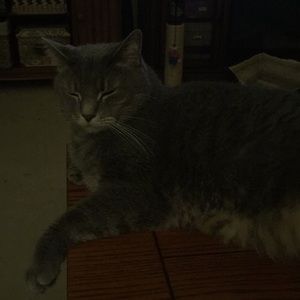 Meet your Posher, Joann